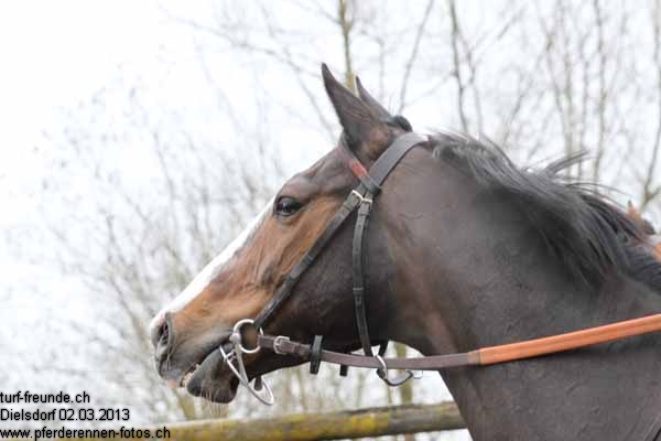 IMG 0074 prot